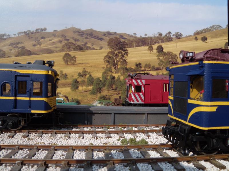 0 scale DERM models for Australia and Haskell backdrop